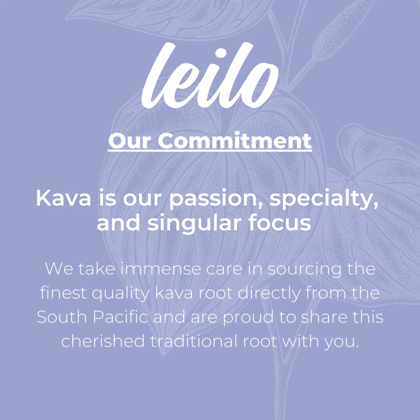 Leilo Kava Social Tonic