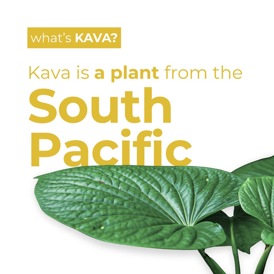 Leilo Kava Social Tonic