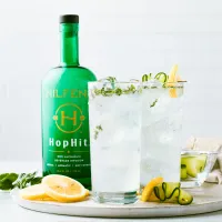 Hilfens HopHit