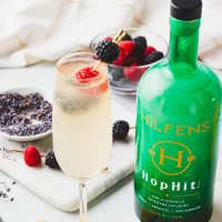 Hilfens HopHit